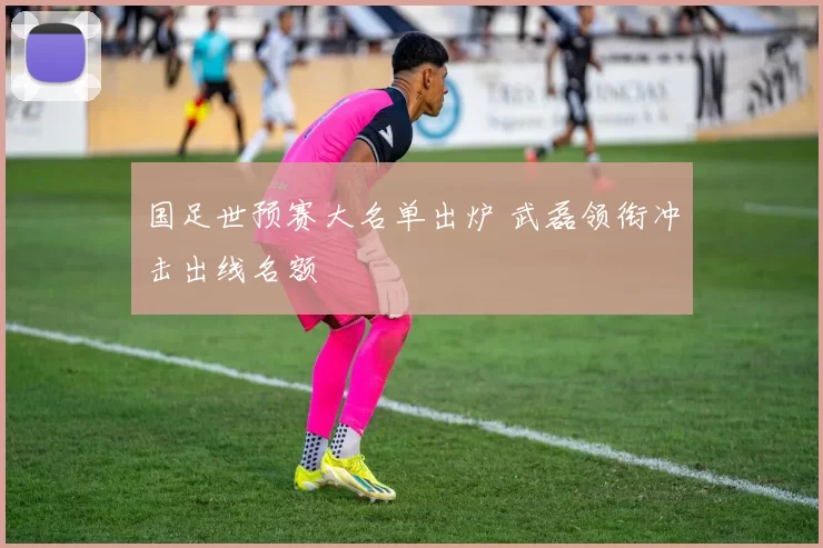 国足世预赛大名单出炉 武磊领衔冲击出线名额