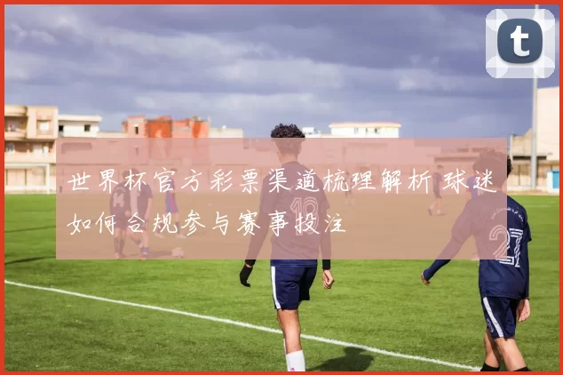 世界杯官方彩票渠道梳理解析 球迷如何合规参与赛事投注