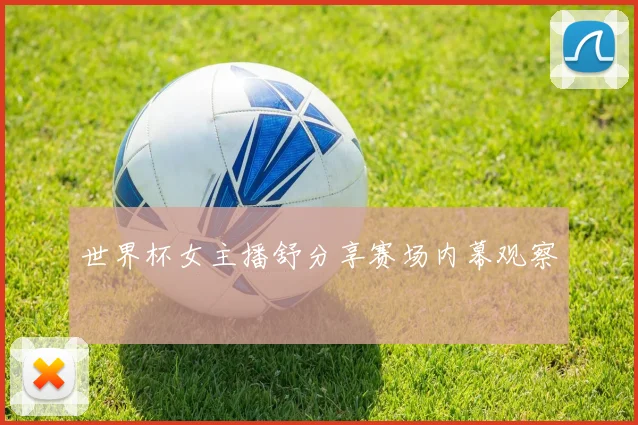 世界杯女主播舒分享赛场内幕观察